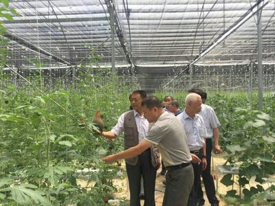 袁文先將軍深入三明調研，為扶貧改革與種植技術發展注入新動能